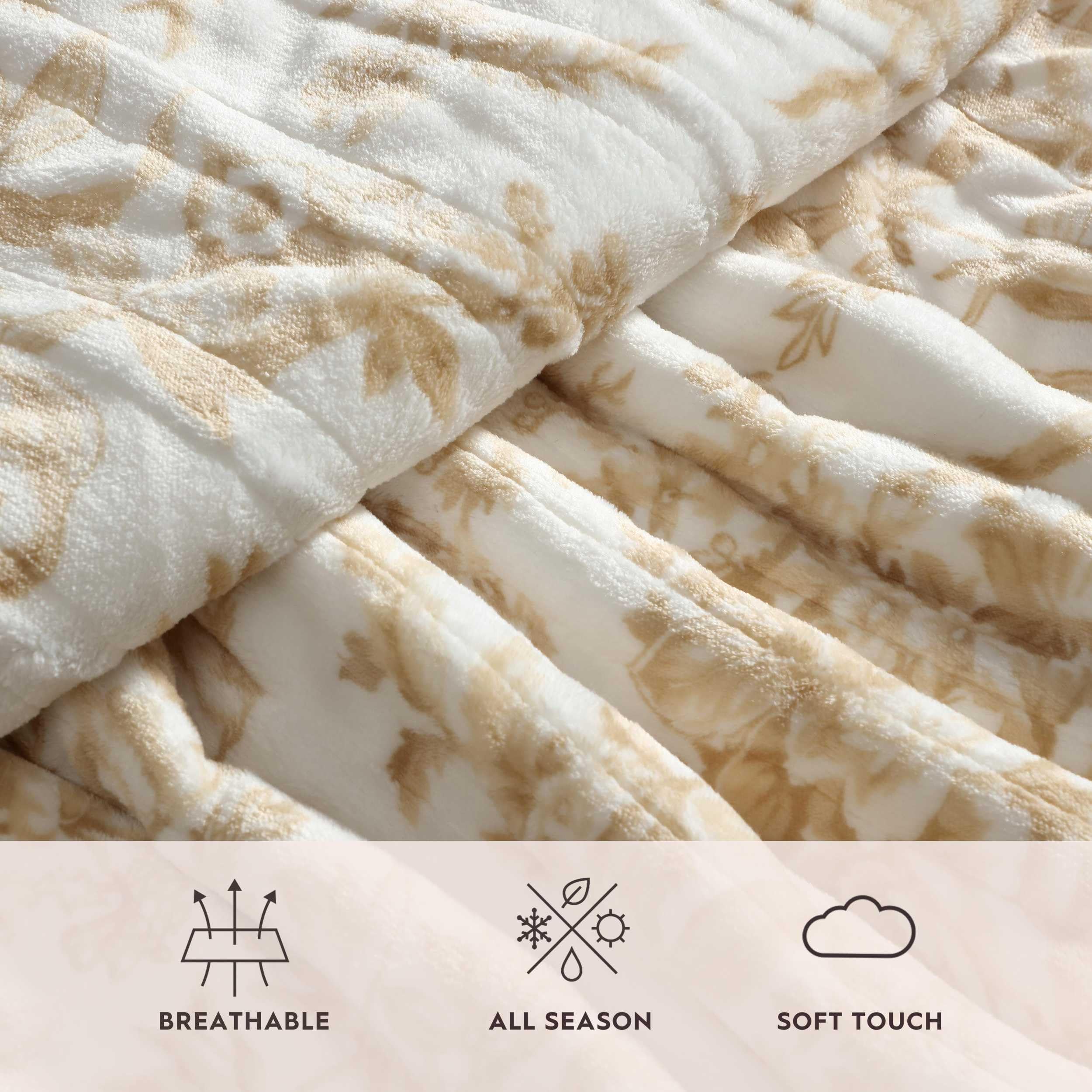 Amazon.com: Laura Ashley: Heated Blankets
